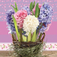 SLWI 005201