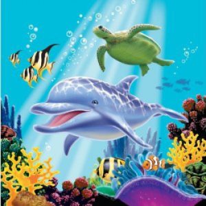 Fish / Sealife