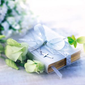 G13312840