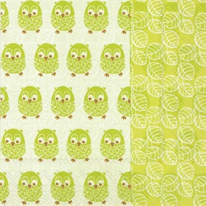 Littleowlsgr