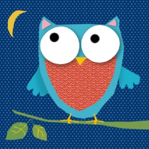 Owl (2)