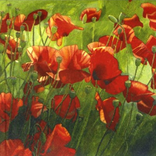 Poppiescrop