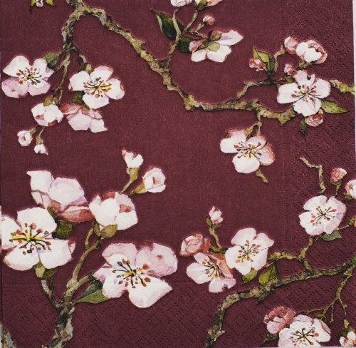 Blossom