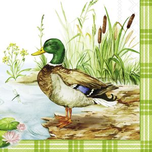 Duck Family 165
