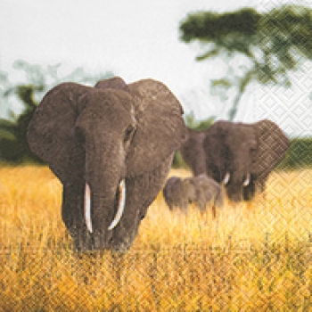 Elephant Family   Servietten 33x33 Cm