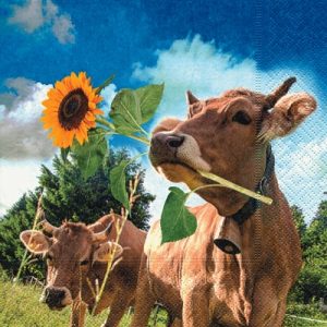 Sunflowercow