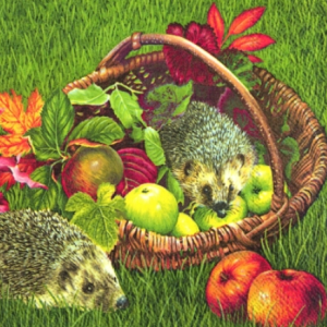 full packet x 20 3ply garden hedgehogs paper napkins lunch size by IHR featuring an illustration of two hedgehogs in a basket with apples and a background of green grass