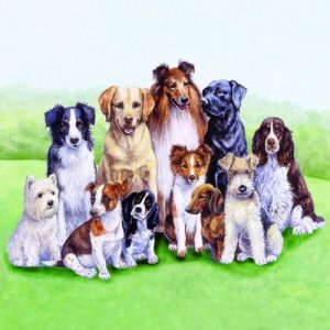Peddogs