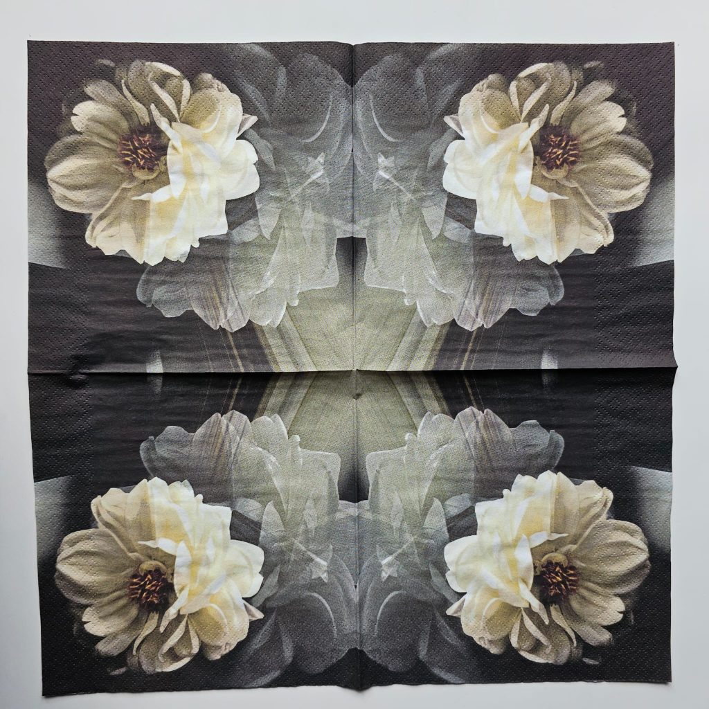 PHOTO 2025 11 08 01 05 40
